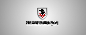 河南黑鹰网络科技|直销网站建设|供应厂家|新型厂家